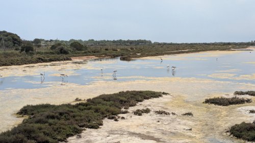Day 13 — Palavas-les-Flots
