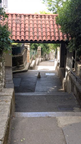 Day 42 — Rijeka