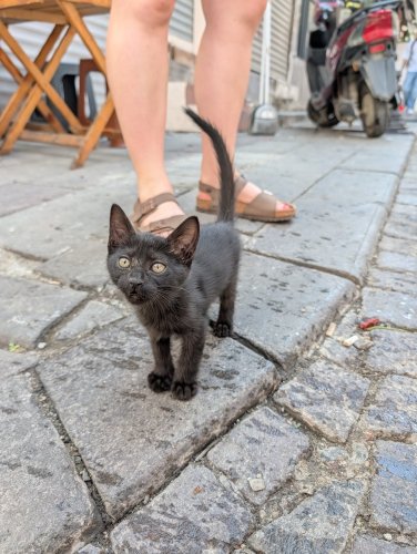 Day 101 — Istanbul