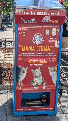 Day 95 — Istanbul