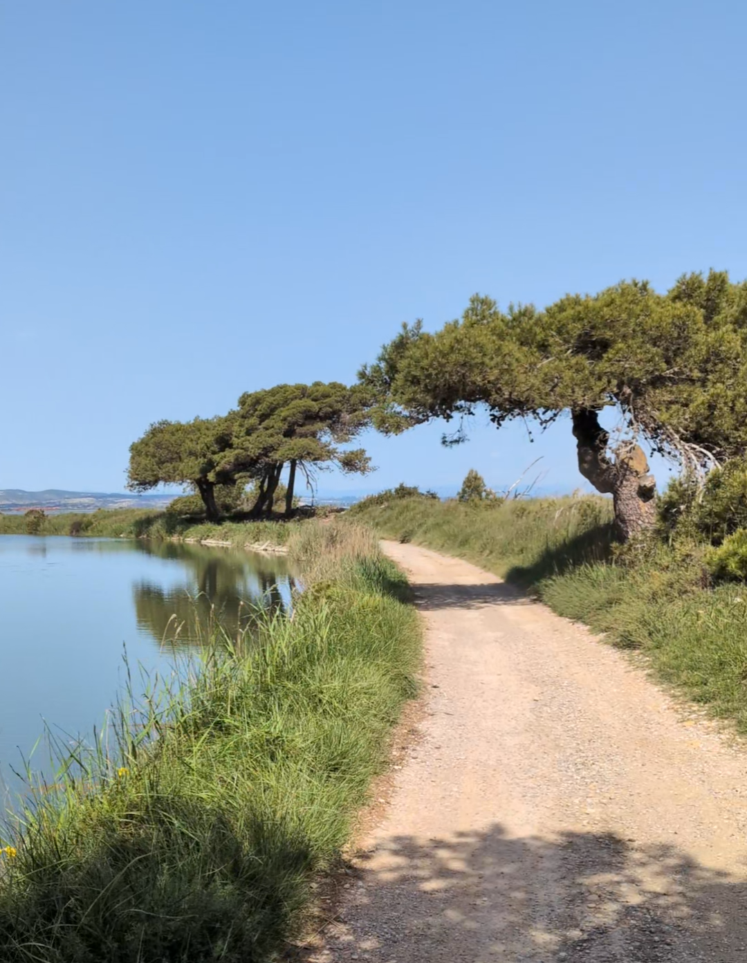 Day 12 — Beziers