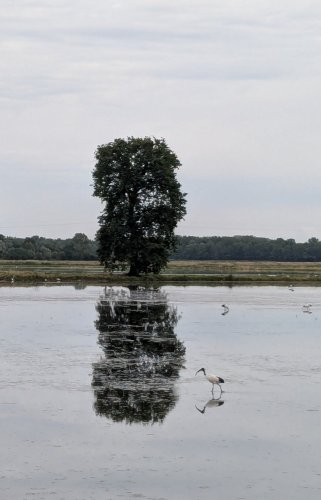 Day 25 — Pavia